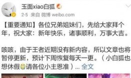 诺言新皮肤爆料最新消息,揭秘爆料背后的神秘魅力